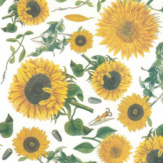 Yellow Tuscan Sunflowers Floral Print Italian Paper ~ Tassotti
